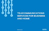 TELECOMMUNICATIONS SERVICES FOR BUSINESS AND HOME