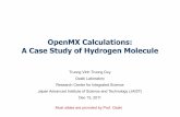 OpenMX Calculations: A Case Study of Hydrogen Molecule
