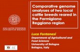 Comparative genome analyses of two local cattle breeds ...