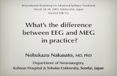 What’s the difference between EEG and MEG in practice?
