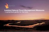 Lowland Natural Flood Management Measures - a practical ...
