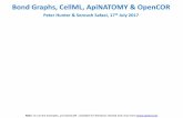 Bond Graphs, CellML, ApiNATOMY & OpenCOR