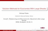 Solution Methods for Economies With Large Shocks