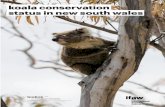 Biolink koala conservation review - WWF