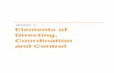 Elements of Directing, Coordination and Control