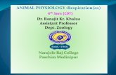 ANIMAL PHYSIOLOGY :Respiration(02) 4th Sem (C9T)