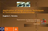 Application of Image Analysis Techniques in ... - UMinho