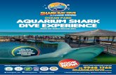 OCEAN PARK AQUARIUM SHARK DIVE ExPERIENCE