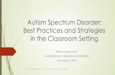 Autism Spectrum Disorder: Best Practices and Strategies in ...