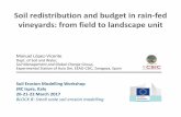 Soil redistribution and budget in rain-fed vineyards: from ...