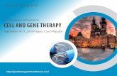 Cell gene Therapy 2019