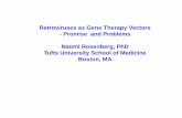 Retroviruses as Gene Therapy Vectors - Promise and ...