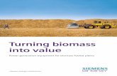 Turning biomass into value
