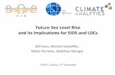 Future Sea Level Rise and its Implications for SIDS and LDCs