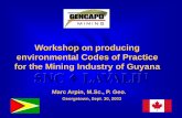 Workshop on producing environmental Codes of Practice for ...
