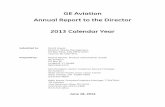 GE Aviation Annual Report to the Director 2013 Calendar Year