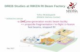 DREB Studies at RIKEN RI Beam Factory (RIBF)
