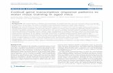 RESEARCH ARTICLE Open Access Cortical gene transcription ...