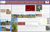 Experimental Maize Farming in Range Creek Canyon: Year One