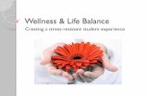 Wellness & Life Balance