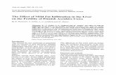 The Effect of Mild Fat Infiltration in the Liver on the ...