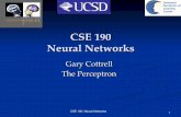 CSE 190 Neural Networks - Piazza