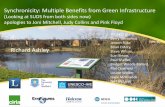 Synchronicity: Multiple Benefits from Green Infrastructure