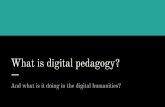 What is digital pedagogy?