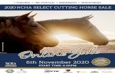 TO VIEW SALE HORSES CLICK HERE: . com ...