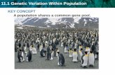 11.1 Genetic Variation Within Population