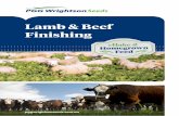 Lamb & Beef Finishing