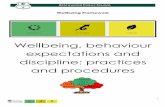Wellbeing, behaviour expectations and discipline ...