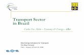 Transport Sector in Brazil