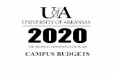 FOR THE FISCAL YEAR ENDING JUNE 30, 2020 CAMPUS BUDGETS
