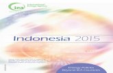 Indonesiau 2015 - Energy Policies Beyond IEA Countries