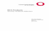 BCS Products Security Handbook Addendum