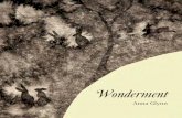 Wonderment - Anna Glynn