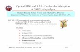 Optical SHG and RAS of molecular adsorption at Si(001 ...