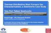 Thermal Distributive Blast Furnace Gas Characterisation; a ...