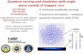 Quantum sensing and simulation with single plane crystals ...