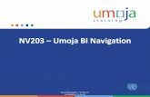 NV203 – Umoja BI Navigation