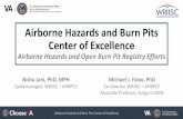 Airborne Hazards and Burn Pits Center of Excellence