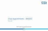 Chair Appointments BNSSG