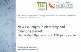 New challenges in electricity and balancing market, the ...