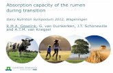 Absorption capacity of the rumen during transition