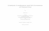 Catalytic Combustion and NO Formation of Natural Gas