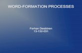 WORD-FORMATION PROCESSES