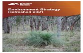 D21-140545 Environment Strategy Refreshed 2021 - Adopted ...