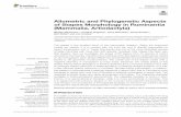 Allometric and Phylogenetic Aspects of Stapes Morphology ...