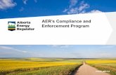 AER’s Compliance and